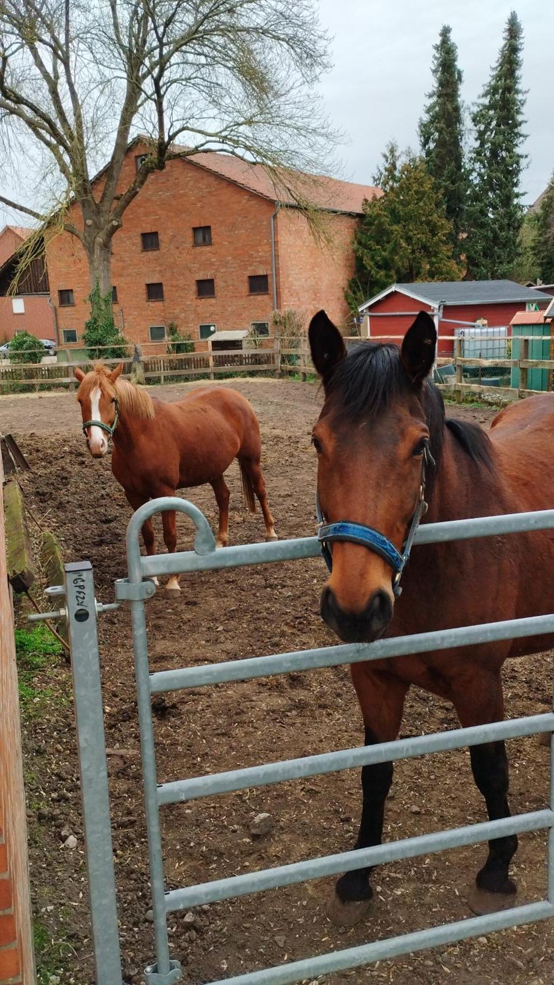 랏젠 Wohnen Auf Dem Bauernhof 아파트 외부 사진
